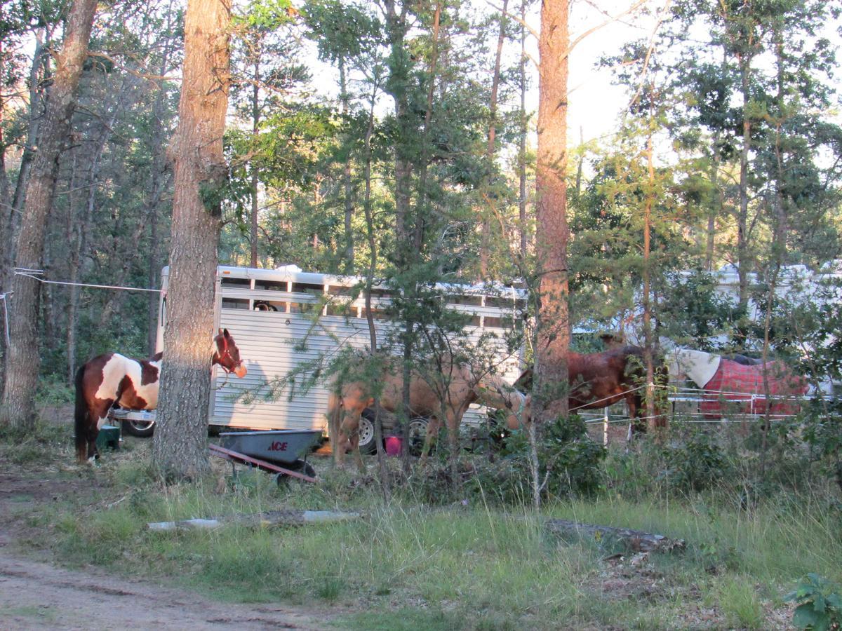 Best Bear Lodge & Campground Irons Luaran gambar